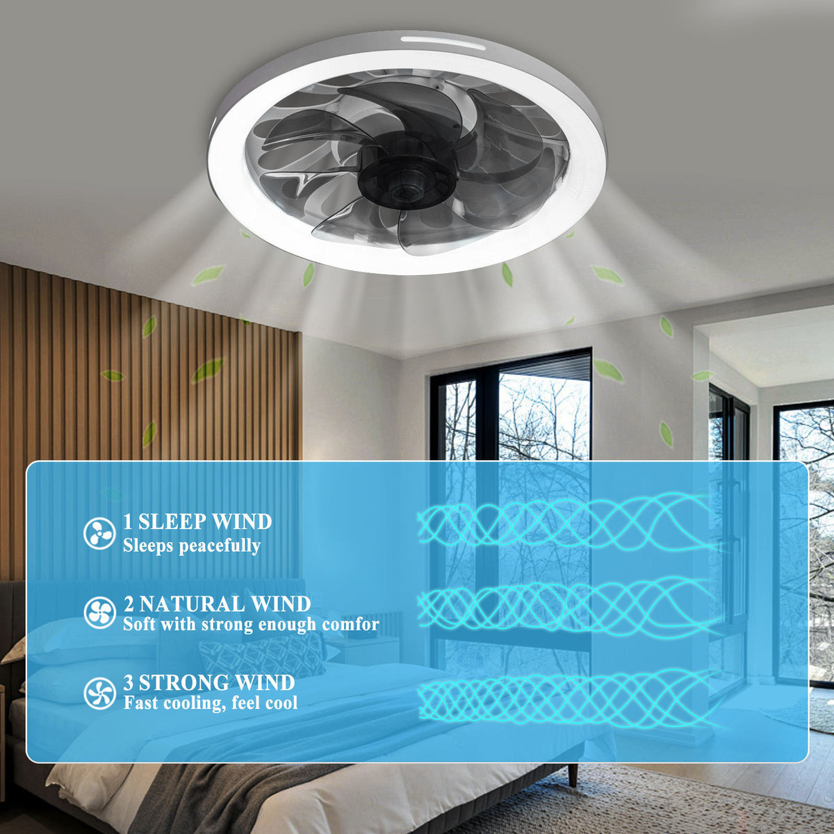 Ceiling Led Fan Light